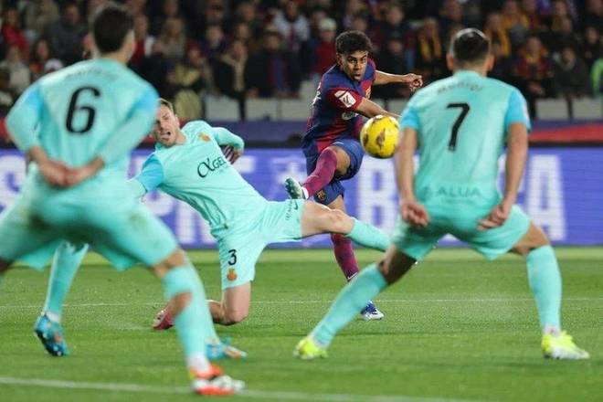 预计不会改 预计不会改